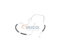 VAICO V10-4646 Flessibile idraulica, Sterzo