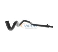 VAICO V10-4663 Flessibile radiatore