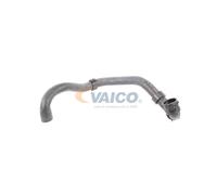 VAICO V10-4807 Flessibile radiatore