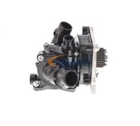 VAICO V10-4919 Kit riparazione, Pompa acqua