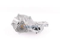 VAICO V10-50039 Pompa acqua