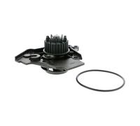 Vaico - V10-50072 - Pompa Acqua ,Motore Raffreddamento - Per Volkswagen