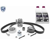 VAICO V10-50107 Kit cinghia distribuzione pompa acqua per VW GOLF VI (5K1)