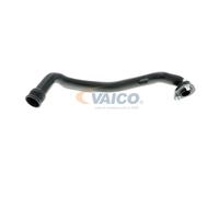 VAICO V10-9766 Flessibile, Scarico aria copritestata