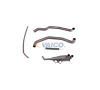Kit di riparazione, ventilazione del carter VAICO V20-0004
