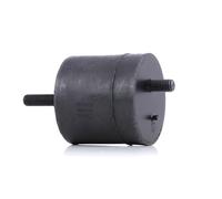 VAICO V20-0466 Supporto motore