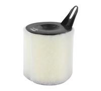 VAICO - V20-0715 - Filtro Aria - Compatibile Con BMW 13717532754