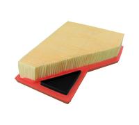 VAICO - V20-0817 - Filtro Aria - Compatibile Con MINI 13727529261