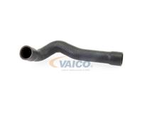 VAICO V20-1243 Flessibile radiatore
