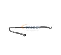 VAICO V20-1313 Flessibile radiatore