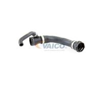 Tubo flessibile del radiatore VAICO V20-1676 destra