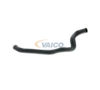 Tubo flessibile del radiatore VAICO V20-2299