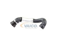 VAICO V20-2312 Flessibile radiatore