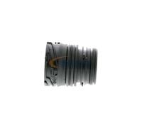 VAICO V20-2596 Alloggiamento presa, Cambio automatico-Centralina