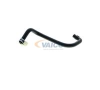 VAICO V20-2894 Flessibile radiatore