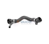Tubo flessibile del radiatore VAICO V20-3321