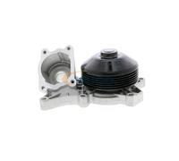 VAICO V20-50039 Pompa acqua