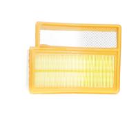 VAICO V24-0304 Filtro aria