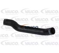 VAICO V24-0682 Flessibile aria alimentazione