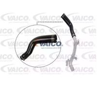 VAICO V24-0694 Flessibile aria alimentazione