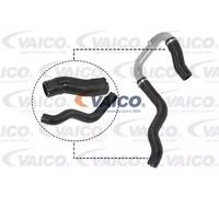 VAICO V24-0731 Flessibile aria alimentazione