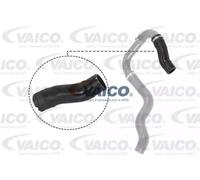 VAICO V24-0732 Flessibile aria alimentazione