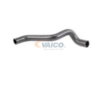 VAICO V24-0868 Flessibile radiatore