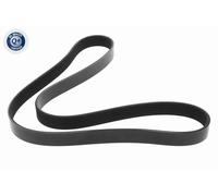 VAICO V24-1209 Cinghia servizi per FIAT Ducato Kastenwagen (250, 290) 1240mm