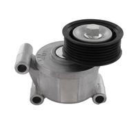 Vaico - V25-0446 - Tendicinghia, Cinghia Scanalata - Per Ford 2111716