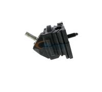 VAICO V25-0775 Supporto motore