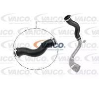 VAICO V25-1030 Flessibile aria alimentazione