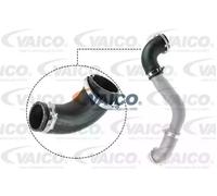 VAICO V25-1050 Flessibile aria alimentazione per FORD FOCUS III Kuga Mk2 (DM2)