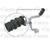 VAICO V25-1052 Flessibile aria alimentazione