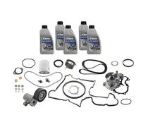 VAICO V25-3148 Kit cinghia di distribuzione