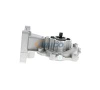 VAICO V25-50014 Pompa acqua