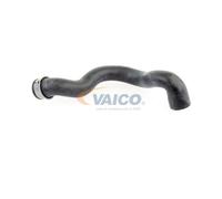 Vaico Flessibile radiatore V30-2223 – Destra inferiore per Mercedes-Benz A2045013082