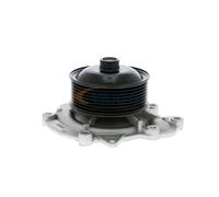 VAICO V30-50060 Pompa acqua