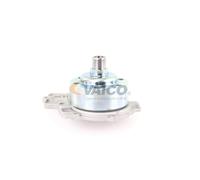 VAICO V30-50081 Pompa acqua