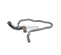 VAICO V40-1164 Flessibile radiatore