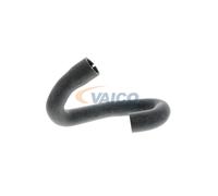 VAICO V40-1339 Flessibile radiatore