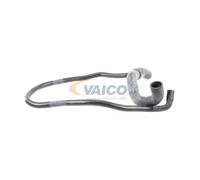 VAICO V40-1762 Flessibile radiatore