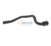 VAICO V40-1988 Flessibile radiatore