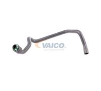 VAICO V40-1989 Flessibile radiatore