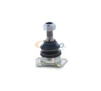 VAICO V41-9502 Testina braccio oscillante