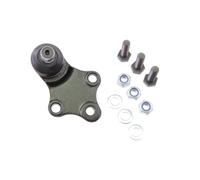 VAICO - V42-0033 - Giunto Sferico - Compatibile Con PEUGEOT 3640.44