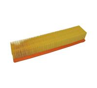 VAICO - V46-0077 - Filtro Aria - Compatibile Con RENAULT 8200431075