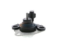 VAICO V46-0260 Supporto motore