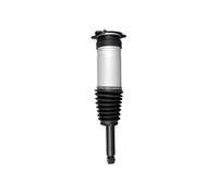 VAICO - V58-0284 - Ammortizzatore - Compatibile Con TESLA 1067466-25-C