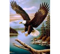 VAIIEYO 5D Diamond Painting Kit Completo Aquila, Diamond Painting Ki Animale,Pittura Diamante 5D Fai da Te, Ricamo con Strass Punto Croce Arte e Artigianato Decorazione per Casa e Pareti 30x40 cm-22