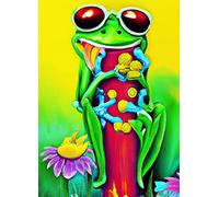 VAIIEYO 5D Diamond Painting Kit Completo Rana, Pittura Diamante 5D Fai da Te Animale, Ricamo con Strass Punto Croce Arte e Artigianato Decorazione per Casa e Pareti 30x40 cm